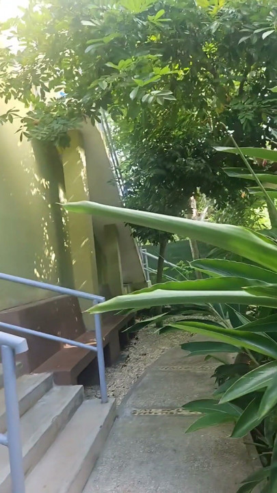 A lil slice of Paradise - Karibische Freuden und Genüsse | Clip 2
