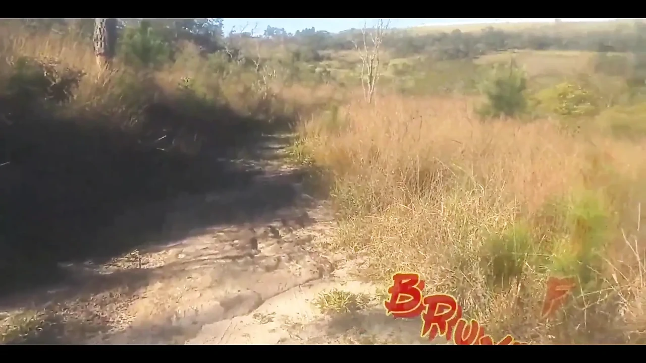 Bombomd4 Wanted to Fuck on the Bridge... the Guards Arrived!! Watch Full N Xvideos Red