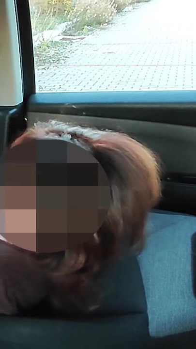 Iconic moment from "DOGGING my STEPDAUGHTER in a PUBLIC PARKING lot after SCHOOL and a VOYEUR FUCKS her PUSSY until she SQUIRTS"