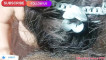Pregled videozapisa