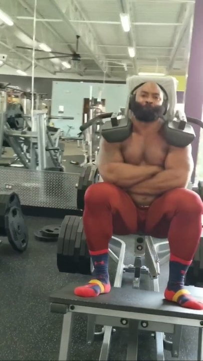 Bull Workout