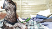 Pregled videozapisa