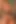 Neitan pauzudo orgazm oluyor ve kulağına sızlanıyor
