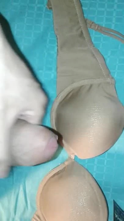 Sister's new Chalone bra