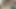 Büyük sünnetsiz yaraklı genç adam mastürbasyon yapıyor ve her yere özlem çekiyor - hardim