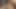 Mobile Recording Of Indian Couple Intimacy Real Homemade Sex