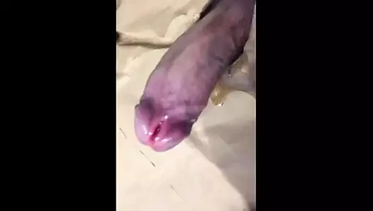 Döl boşalması