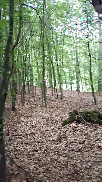 Pressure released in the forest