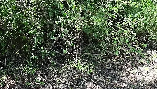 Видео на весь день