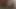 Indian TOP sex video BIG bengali boudi