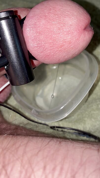 Precum drool