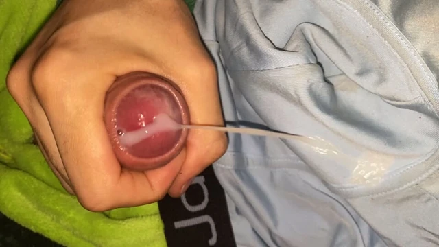 Puppy plays with his dick and cums on himself
