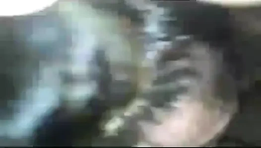 Она доказывает, что белые девушки сосут лучший член