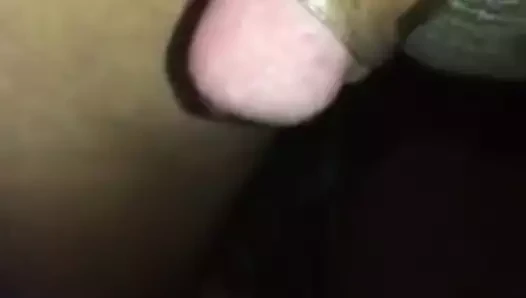 Derisi açık köknar keisha grey