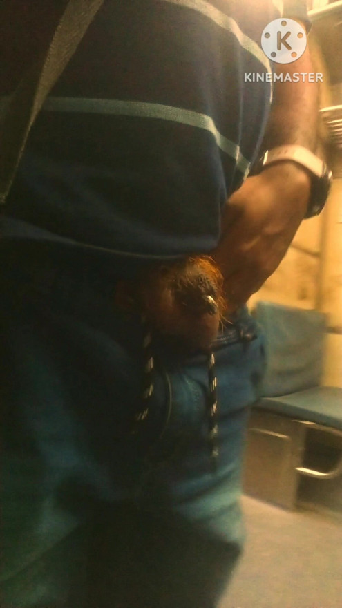 Lionman on Train(DMU)
