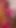 Must-share moment from "Hindi audio - indian muslim girl sofia gives best blowjob and deep throat and cum in mouth"