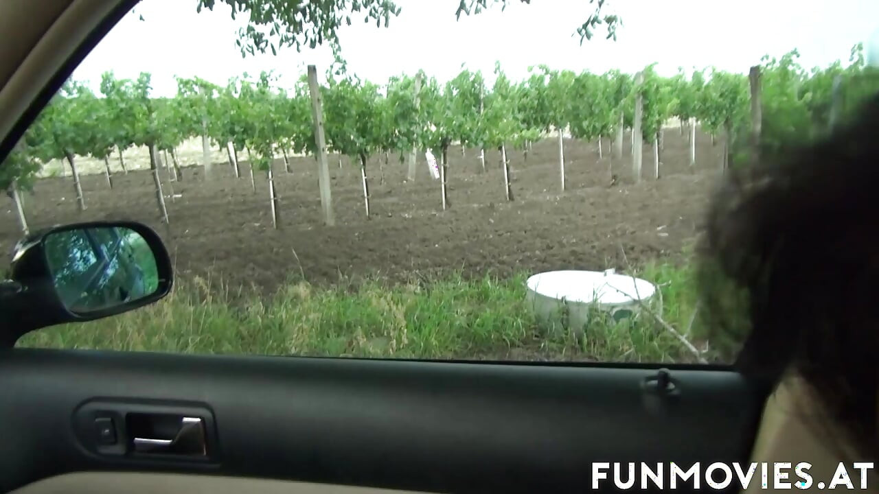 Geile EU-milf fickt im auto