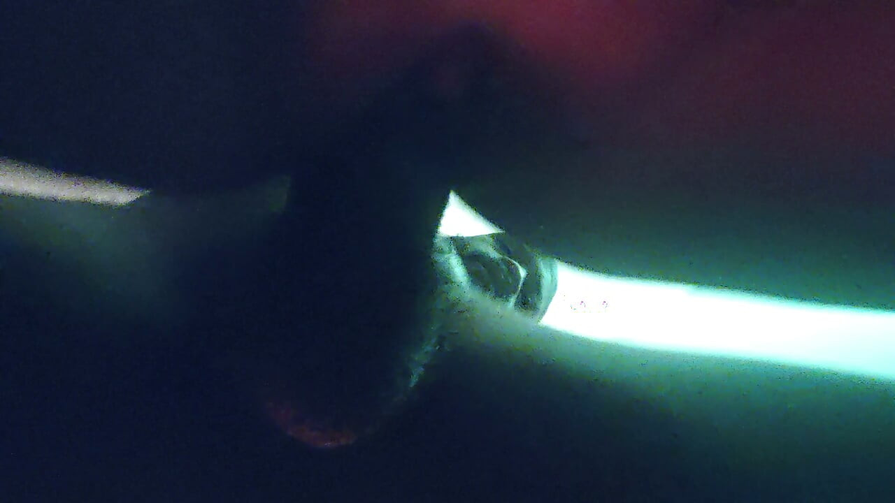 תצוגה מקדימה של FWB חובבנית