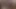 Yarak ve kahve. Ateşli karımla sabah seksi yakınlığı yeni uyandı. Amatör gerçek çift