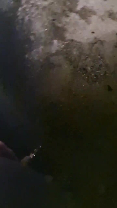 Italian pig pissing in truck parking