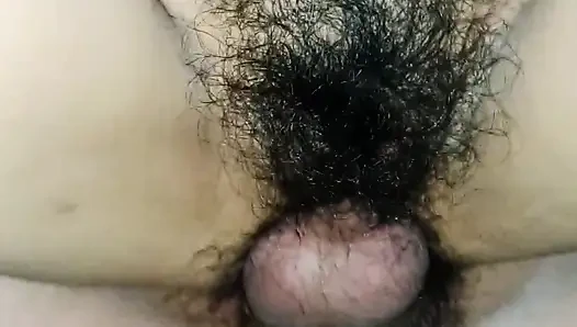 Pulen!! Uzun zamandır dul bir aygır anne