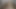 Chubby or Gray Hair, Everyone Wants Fucking and Blowjob