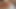 アマロティック・アルティメット560