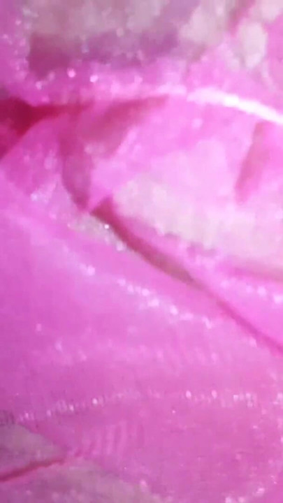 Sri Lanka New Sex Video Hot Dancing Teacher Solo With Big Black Cock Hardcore Rough Sex Teen Girl South Asian Sinhala Super | Clip 2