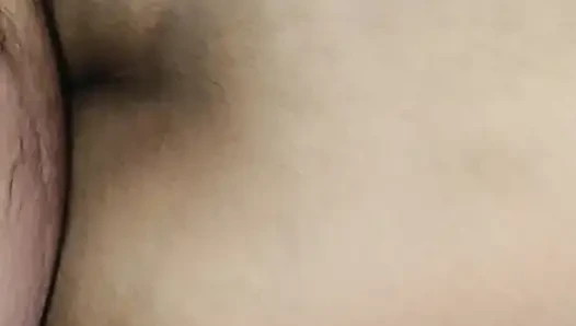 Gf perguruan tinggi desi
