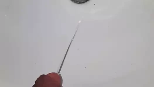 pissing horoz