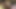 Anna Cummings Scarlett Foxx'un dildosuyla boşalmasını sağlıyor