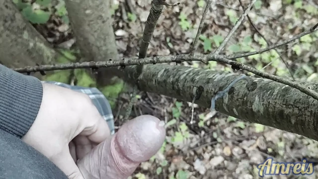 Uncut cock quick cum in city park near by road