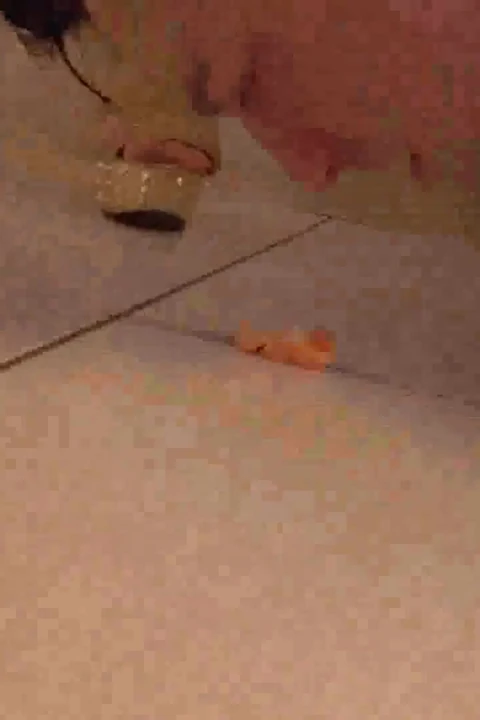 Feeding lesson in the kitchen