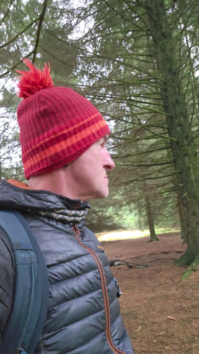 In the woods