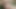 Close up dildo masturbating on the green soft carpet and lovense lush