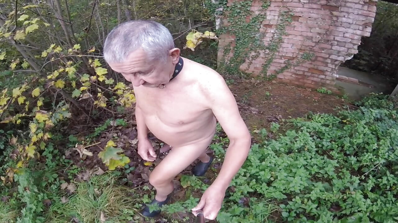 Deo 3 Šetnja 70 2025