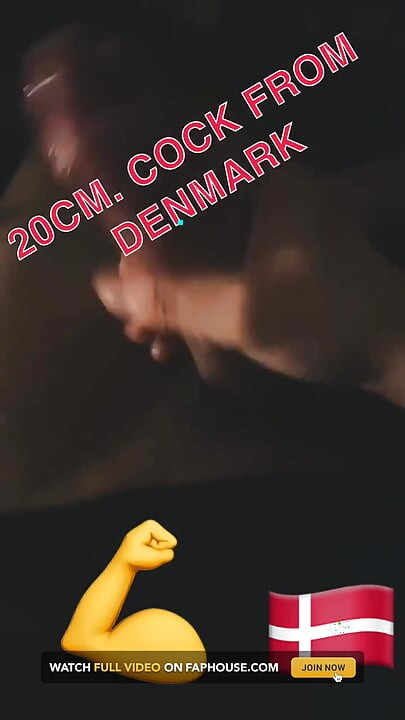 Danish Cock
