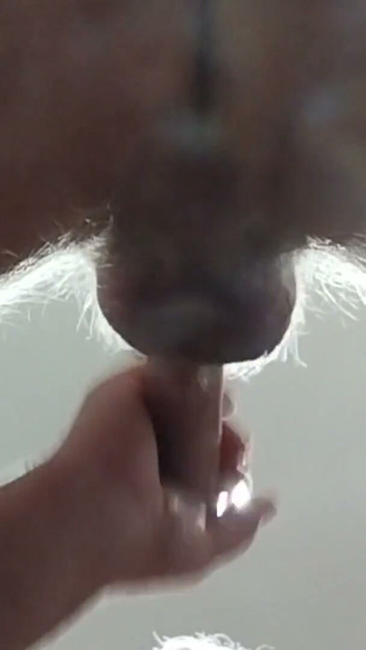 sucking dick and getting a mouthful of my cum | Clip 1