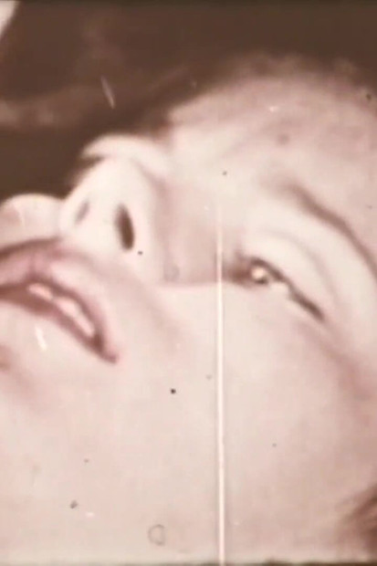 Das Wilde Hengstfohlen