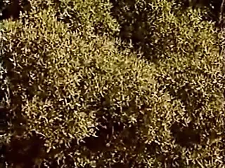 Французская классика