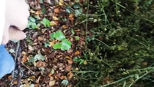 açık çiş derleme