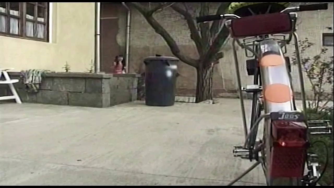 Wild brunette needs punishment (Full Muschi Original Movie)
