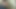 プールの男の子は、彼の角質ブルネットの雇用者を喜ばせるためにすべてを行うので、彼は彼女の猫を食べる