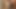 Bunny Luv Cumshot-Zusammenstellung