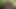 インタビュー。