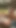 Key moment from "Dirty Teen Seduce to Public Fuck Rough at Spring Break Party"