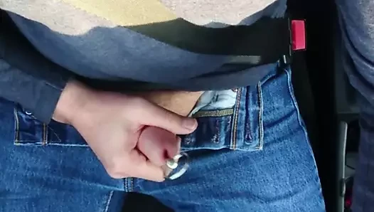 Sondaj ve sürüş