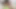 Asian Sex Diary - Filipina babe creampied by big white cock