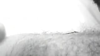 Schwarz-weiß-clip von geilem bär, der erotisch wichst