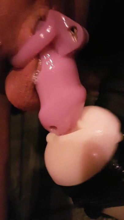 Chastity cage